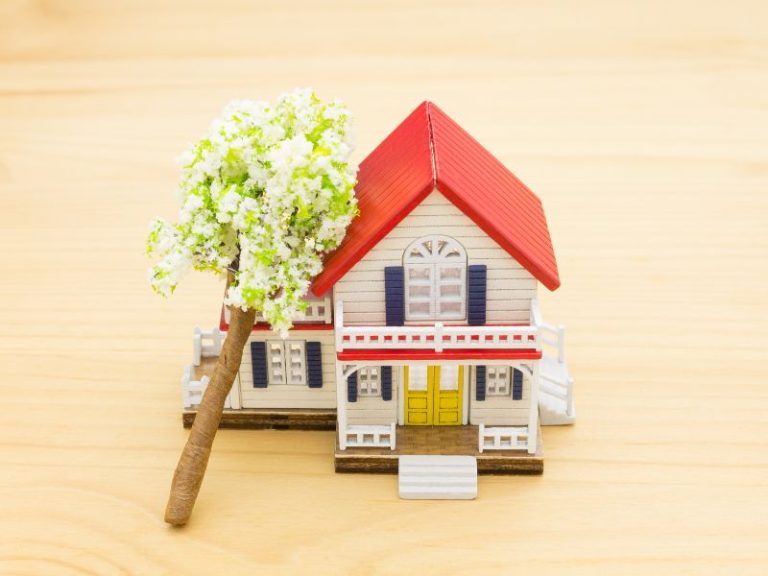 Fallen Tree Restoration Services